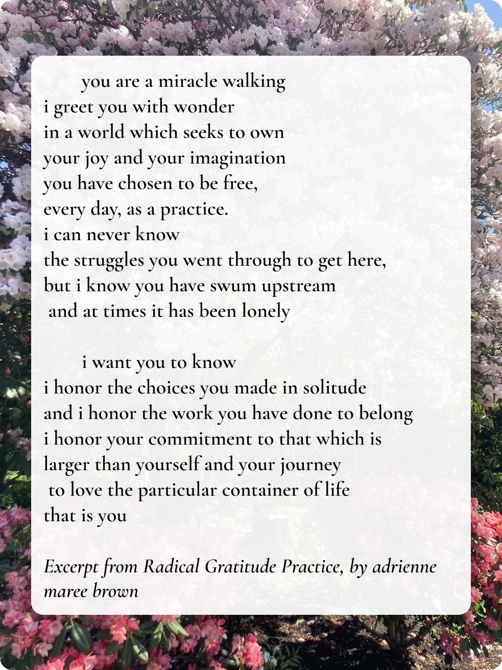 Poem: you are a miracle walking, excerpt from Radical Gratitude Practice by adrienne maree brown